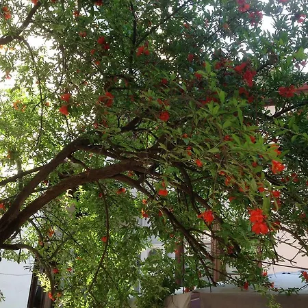 Kaleiçi